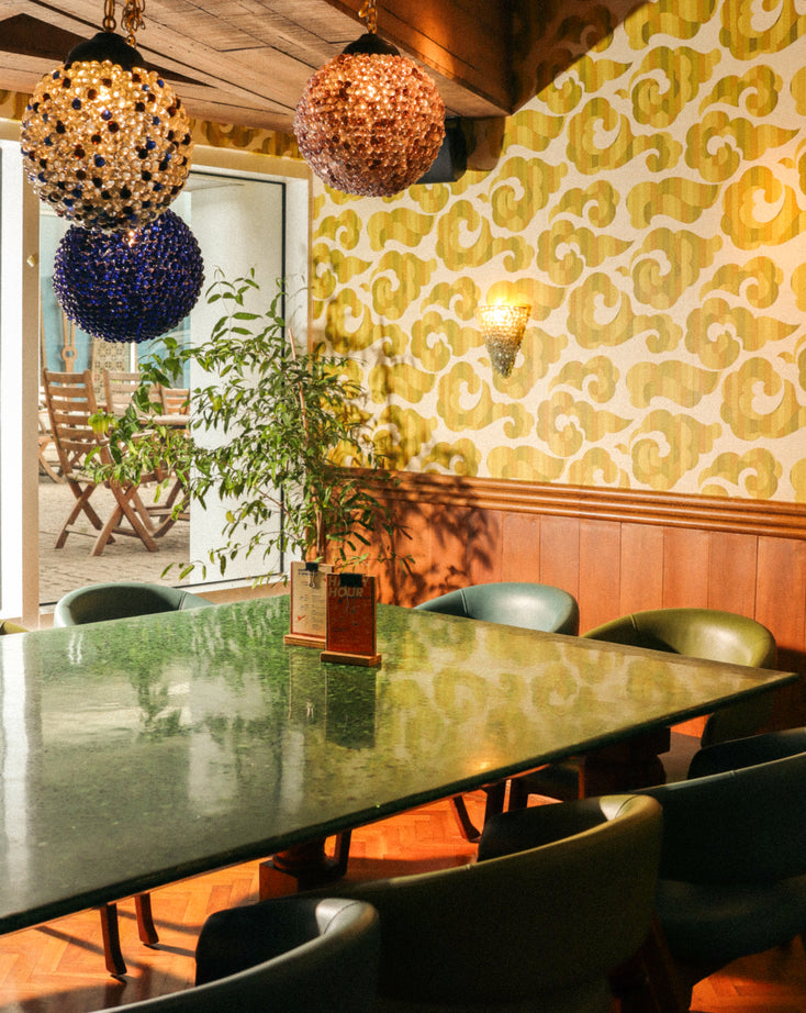 Molito The Fat Seed molito-the-fat-seed