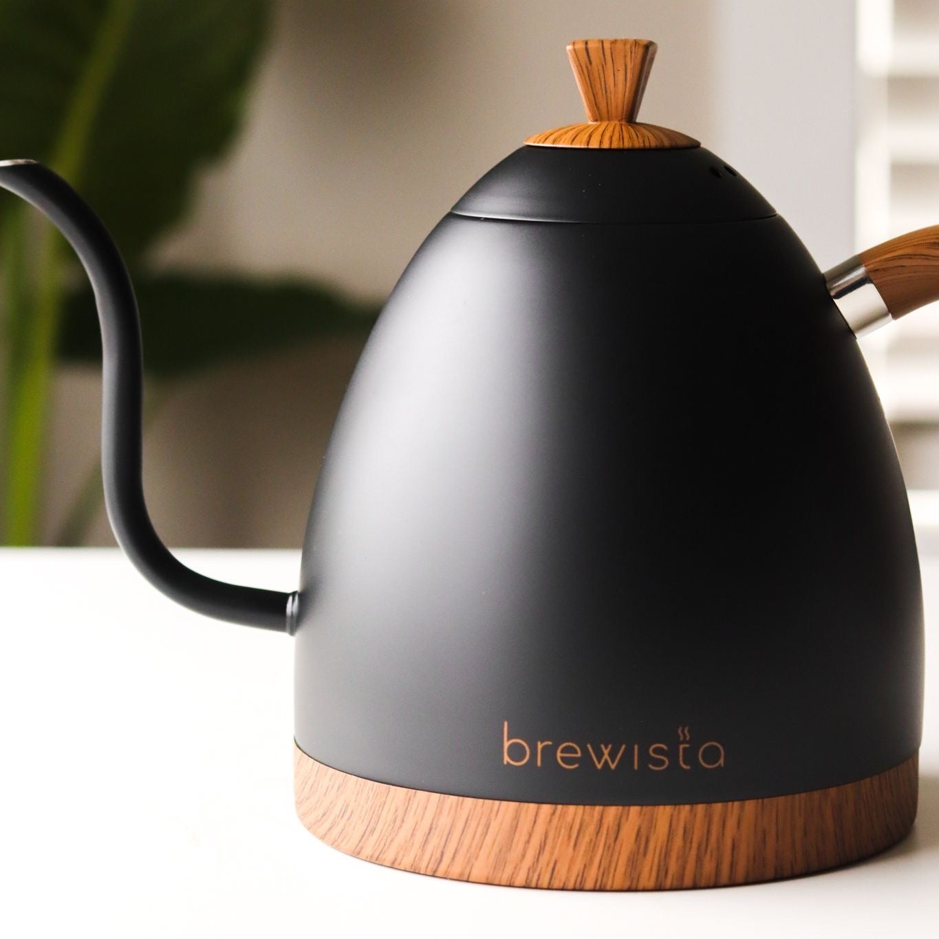 Brewista Artisan 1L Gooseneck Variable Kettle